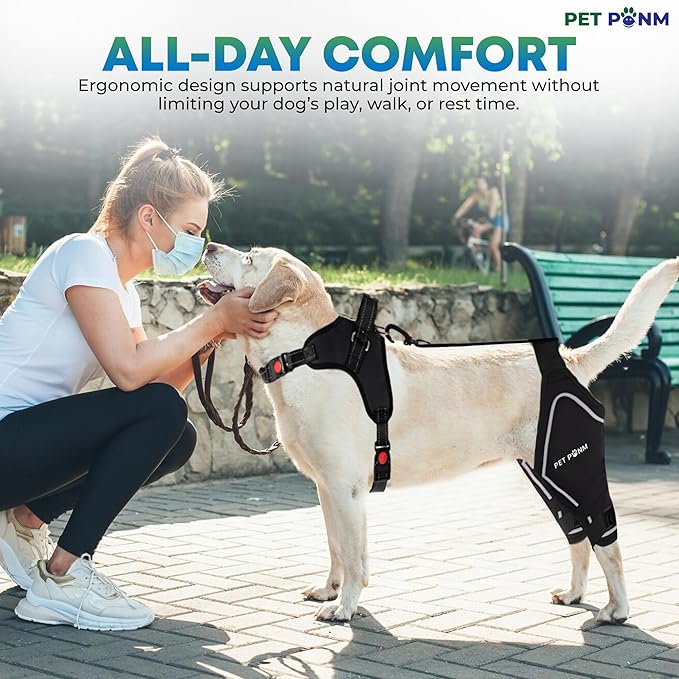 Dog ACL Knee Brace for Back Left Leg - with Integrated Harness - for Cruciate Ligament Injuries, Patellar Luxation, Post-Surgery Recovery. Durable, Breathable Material, Eases Pain - (Medium)