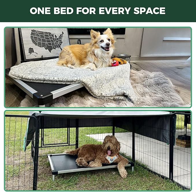 FXW TitanNest Chew-Proof Elevated Dog Bed, Raised Cot for Indoor/Outdoor/Camping Use, Durable & Waterproof Cooling Pet Bed for Medium Dogs, 41.0" L x 27.0" W x 5.0" H, Black