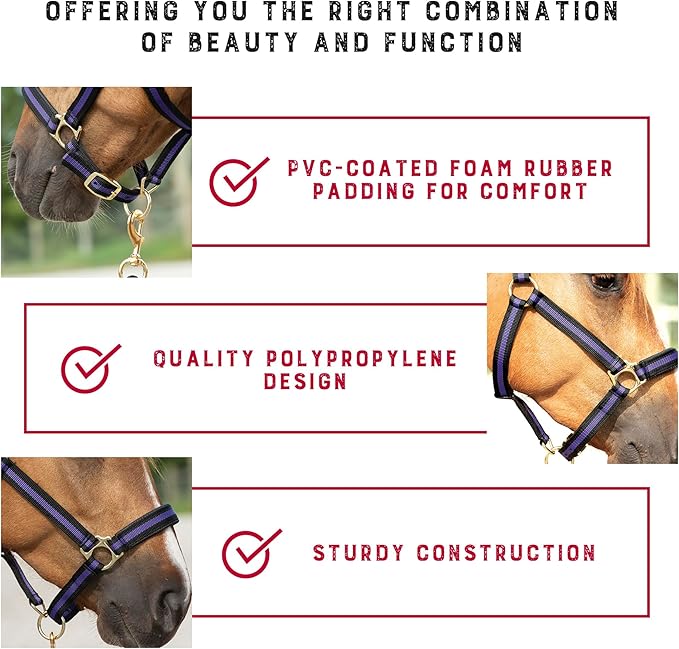 Weaver Equine Breakaway Horse Halter, Comfort Foam Padding, Adjustable Chin & Throat Snap Halters for Horses, Equine Tack,Average Size