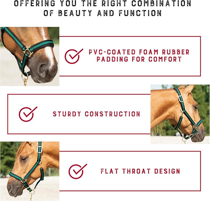 Weaver Leather Nylon Horse Halter, Padded and Adjustable, Chin and Throat Snap Hook Halters for Horses, Brass Plated Halters for Training