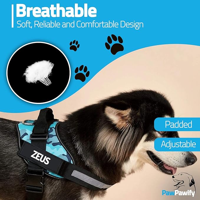 PawPawify Custom No Pull Dog Harness with Name and Phone Number, Heavy Duty Personalized Pet Vest to Prevent Tugging, Pulling, or Choking, Training and Walking (SkyBlue, S (10-19LBS))