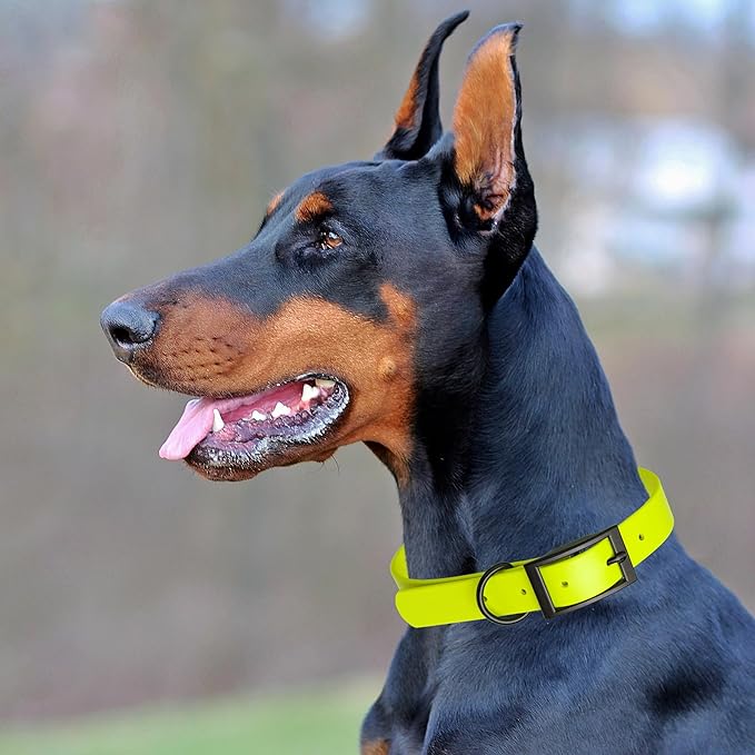 Dogline Biothane Waterproof Dog Collar Strong Coated Nylon Webbing with Black Hardware Odor- Proof for Easy Care Easy to Clean High Performance Fits Small Medium or Large Dogs, Safety Yellow