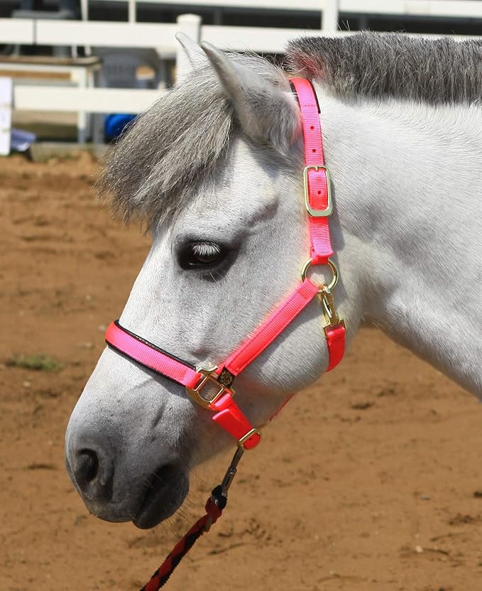 T TEKE Adjustable Horse Halters by Heavy Duty Soft Nylon, Padded with Anti-rubbing Waffle Neoprene on Both Crown & Nose