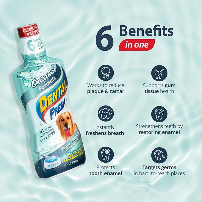 Dental Fresh Water Additive for Dogs, Original Formula, 64oz – Dog Breath Freshener and Dog Teeth Cleaning for Dog Dental Care– Add to Water