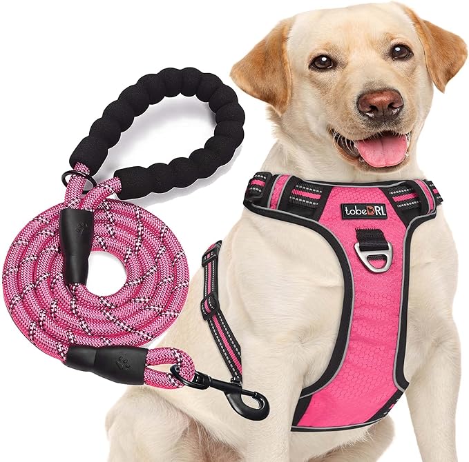 No Pull Dog Harness Adjustable Reflective Oxford Easy Control Medium Large Dog Harness with A Free Heavy Duty 5ft Dog Leash (M (Neck: 14.5"-20.5", Chest: 22"-28"), Pink Harness+Leash)