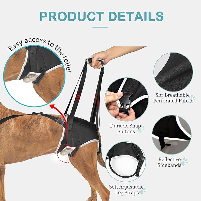 Dog Lift Harness for Small Dogs, Adjustable Rear Leg Support Sling for Hip Dysplasia, Arthritis, Weak Hind Legs, Post-Surgery Recovery, Comfortable & Secure with Sturdy Buckles, S
