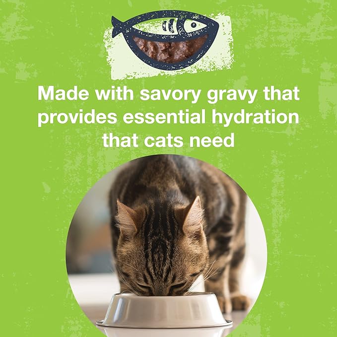 KOHA Poké Bowl Tuna & Duck Entree in Gravy for Cats, 12-Pack of 3oz Pouches