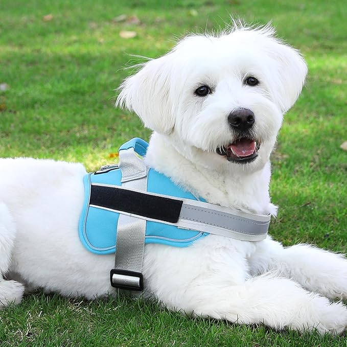 Bolux Dog Harness, No-Pull Reflective Dog Vest, Breathable Adjustable Pet Harness with Handle for Outdoor Walking - No More Pulling, Tugging or Choking (OceanicBlue, XX-Large (Pack of 1))
