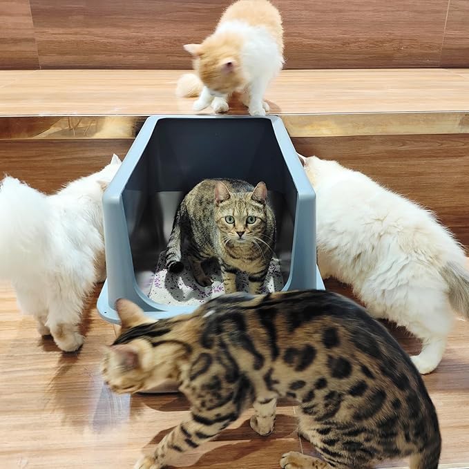 Large Stainless Steel Litter Box with Lid, High Sides, 16" Metal Cat Litter Box, Extra Large Litter Boxes for Big Cats, Tall Cat Litter Pan, Grey, Easy Clean