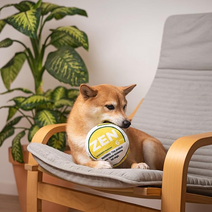 Zen Pupper Deckies Parody Dog Toy - Plush Squeaky and Crinkle Funny Dog Toy (Citrus Lick)