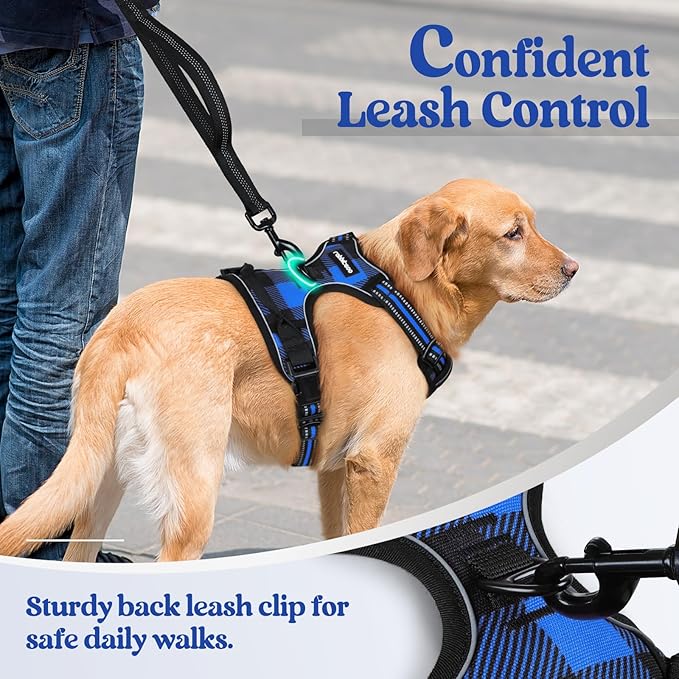 rabbitgoo Dog Harness No Pull with 2 Leash Clips, Adjustable Soft Padded, Reflective Oxford No Choke Pet Vest with Easy Control Handle for Large Dogs, Blue Plaid, L