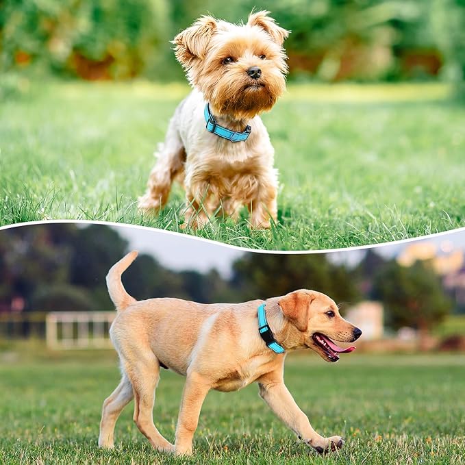 Reflective Dog Collar Padded with Soft Neoprene Breathable Quick Release Basic Dog Collars for Large Dogs Sky Blue Boy