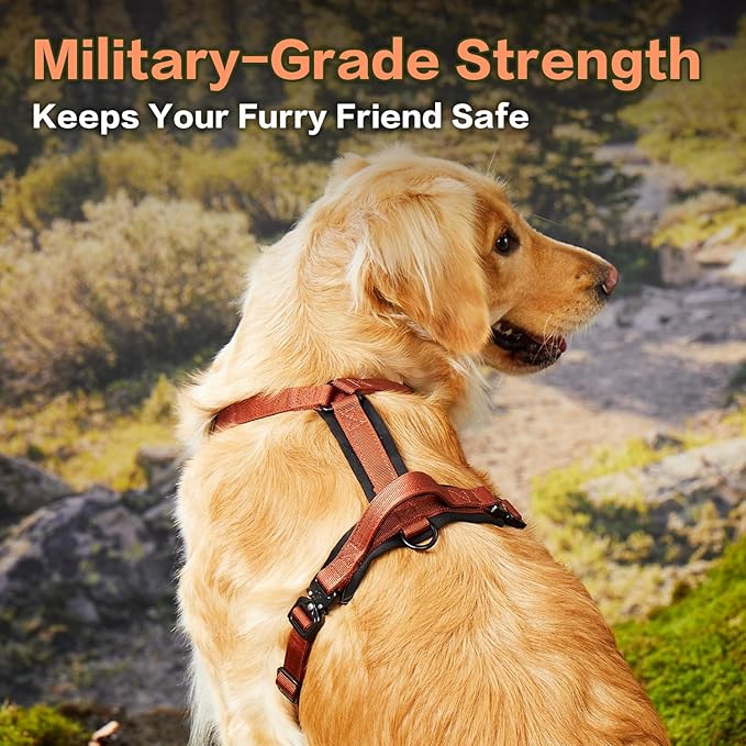 CLEPAWS Dog Harness for Large Dogs, No Pull Dog Harness Easy Walk with Metal Hardware, Ergonomic Y-Shaped Design, Soft Padding, Padded Handle, Durable High-Tensile Nylon (Canyon Red, L)