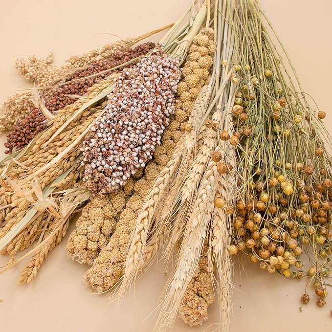 Natural Ear of Grain Flower&Herb Bedding Mate Habitat Decor, Adding Fun Hamster Accessories for Hamsters Gerbils Lemming
