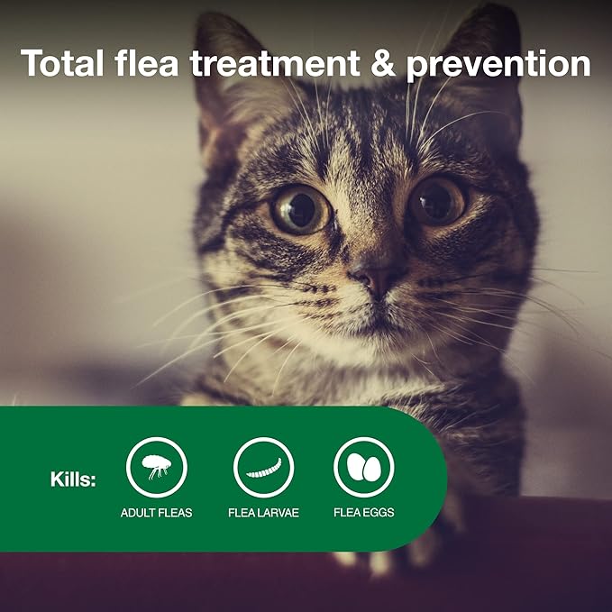Advantage II Small Cat Vet-Recommended Flea Treatment & Prevention | Cats 5-9 lbs. | 12-Month Supply