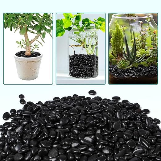 10 lbs Black Pebbles for Indoor Plants, 3/8" Small Rocks for Plants Indoor, Succulent, Bamboo, Vase, Decorative Black River Rocks Pea Gravel, Highly Polished