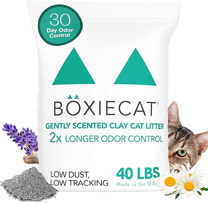 Boxiecat Gently Scented Premium Clumping Clay Cat Litter, 40-Pounds