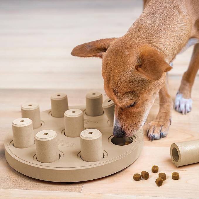 Outward Hound by Nina Ottosson Dog Smart Treat Puzzle Enrichment Toy, Level 1 Beginner, Tan, Composite