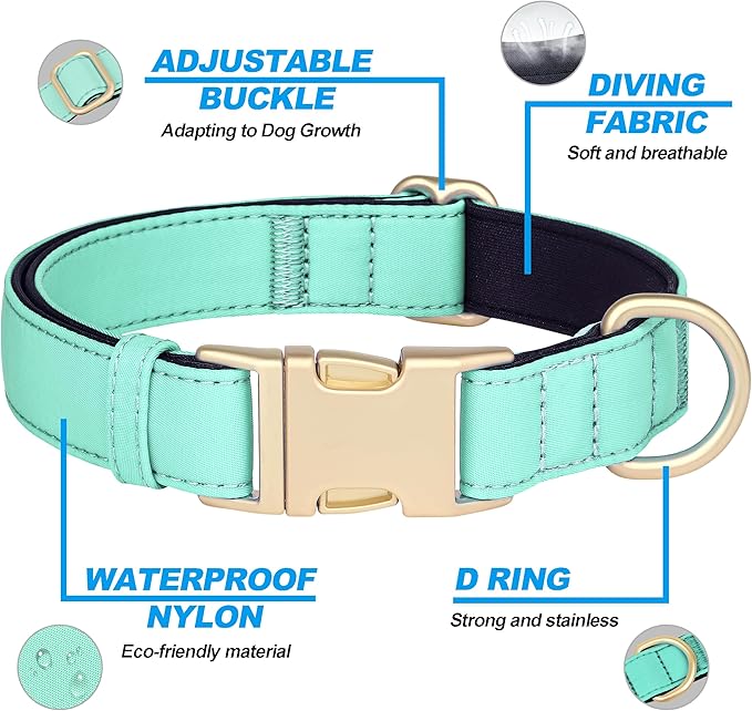 Didog Soft Padded Dog Collars for Medium Dogs, Colorful and Durable Dog Collar with Quick Release Buckle, Light and Breathable for Daily Walking, Green, M