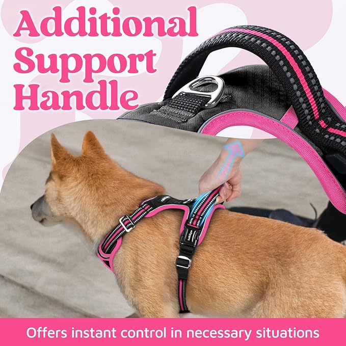 rabbitgoo Dog Harness Small Sized, No Pull Dog Vest with 3 Buckles, Adjustable Soft Padded Pet Harness with Easy Control Handle and Reflective Strips, Black & Rose Pink, S