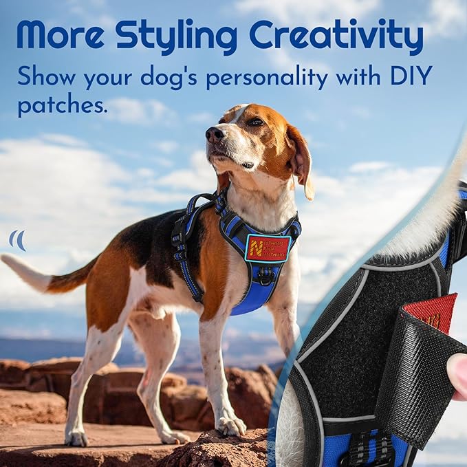 Eagloo Dog Harness Small Sized, Easy Wearing with 3 Buckles, Adjustable No Pull Pet Harness with 2 Rings for Walking, No Chock Reflective Soft Padded Vest with Control Handle, Blue & Black, S