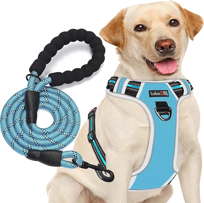 No Pull Dog Harness Adjustable Reflective Oxford Easy Control Medium Large Dog Harness with A Free Heavy Duty 5ft Dog Leash
