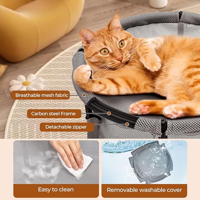 Double Cat Hammock Bed，Elevated and Raised Cat Beds for Indoor and Large Cats