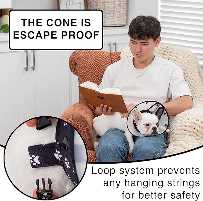 Cat Recovery Cone Kit Post Surgical Soft Pet Vest, Collar, and Non-Irritating Protection Cone for Cats - Comfortable Injury Care Solution (Black with White Paws, Small)