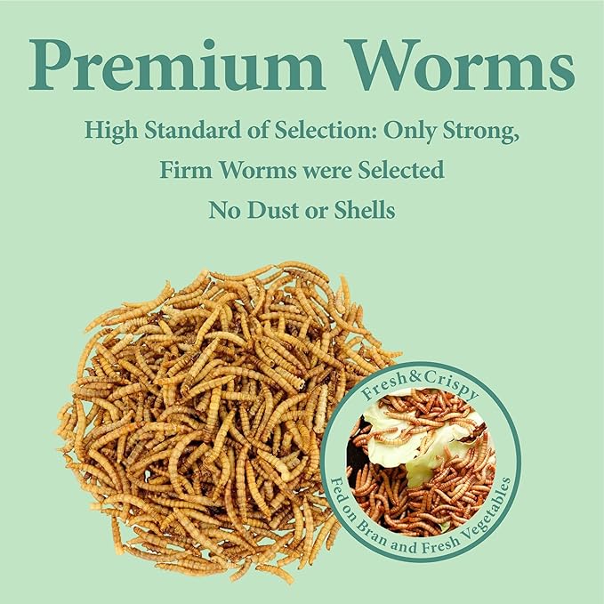 11 LBS Dried Mealworms, Non GMO, High Protein Treat for Chicken, Duck, Birds, Reptile, Hamster,Hedgehog