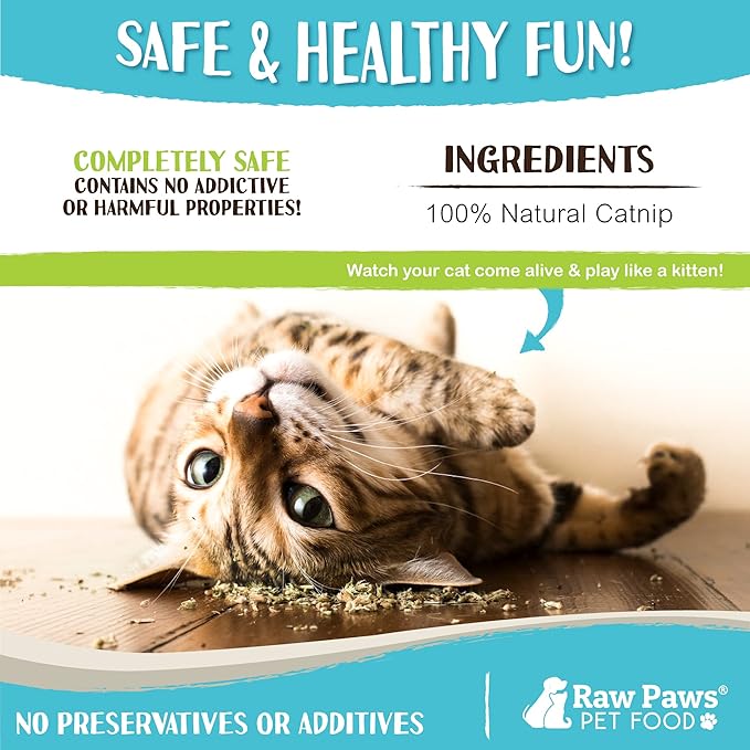 Raw Paws Fresh Catnip for Cats, 1-oz (2 Cups) - Use for Refillable Catnip Toys for Cats - Natural Dried Cat Nip