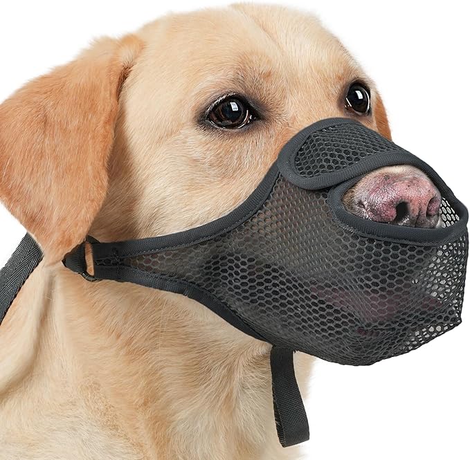 LUCKYPAW Dog Muzzle for Large Medium Small Dogs, Patented Mesh Muzzle to Prevent Biting Chewing Eating, Soft Mouth Guard with Front Opening Design for Drinking Panting(Black, S)