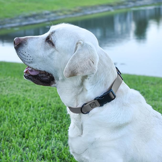 Dogline Biothane Waterproof Dog Collar with Quick Release Buckle Strong Coated Nylon Webbing with Odor- Proof for Easy Care Easy to Clean Fits Small Medium Large Dogs, Grey 5/8" W 9-14" L