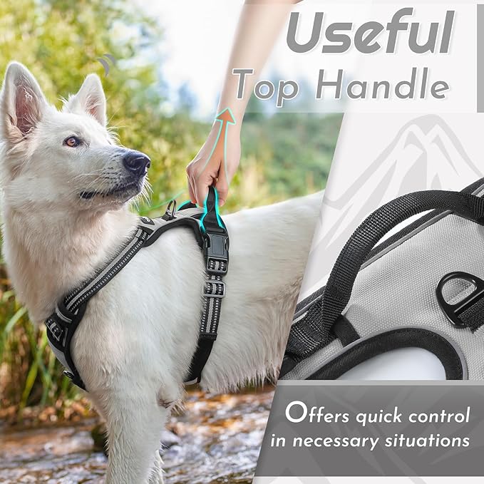 Eagloo Dog Harness Small Sized Dog, No Pull Service Vest with Reflective Strips and Control Handle, Adjustable and Comfortable for Easy Walking, No Choke Pet Harness with 2 Metal Rings, Grey, S