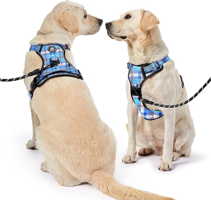 NESTROAD No Pull Dog Harness with Leash, Reflective No Choke Pet Vest Harness,Adjustable Soft Padded Dog Harness with Easy Control Handle for Medium Dogs(Checkered Blue,Medium)