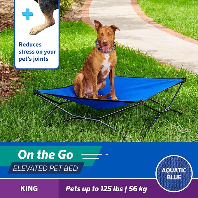Coolaroo On-The-Go Elevated Dog Bed - Foldable Pop-Up Travel Dog Bed with Breathable, Moisture-Resistant Fabric, Carry Bag Included, Lightweight & Portable, Aquatic Blue, Extra Large