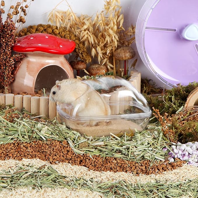 BUCATSTATE Sand Bath Container for Hamster Large Transparent Hamster Toilet with Scoop Dwarf Sandbox Dust Bathtub Small Animals Bathroom Hamster Cage Accessories (Transparent, Large)