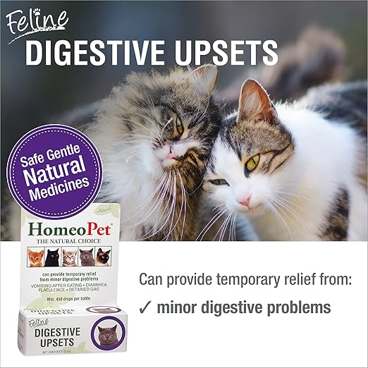 HomeoPet Feline Digestive Upsets, Safe and Natural Cat Digestive Support, 15 Milliliters