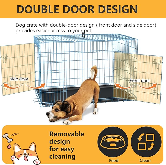FDW Dog Crate for Medium Dogs 36 Inch Folding Metal WirePet Cage Double Door W/Divider Panel Indoor Outdoor Kennel Leak-Proof Plastic Tray,Blue