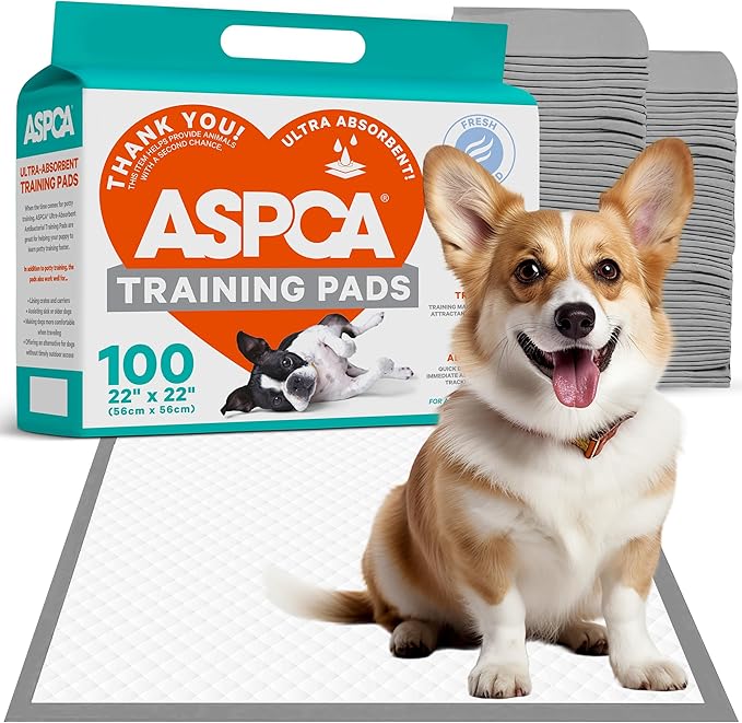 AS62930 Dog Training Pads, Pack of 100, Gray, 22" x 22" - Pack of 100