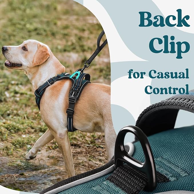 rabbitgoo Dog Harness for Large, No Pull Pet Harness with 3 Buckles, Adjustable Soft Padded Vest with Control Handle, Walking Reflective Pet Vest for Large Dogs, Blue Coral, L