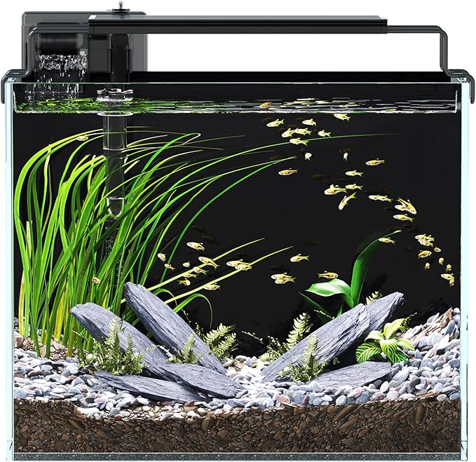 3 Gallon Fish Tank Aquarium Kit with Filter, LED Light with Timer, Siphon Vacuum Cleaner, Lid, Self-Cleaning Glass Rimless Betta Tank