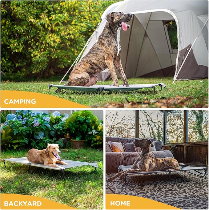Daisy Cot, XL Foldable Elevated Dog Bed, Portable Raised Outdoor Folding Dog Cots, Cooling, Chew Proof, Waterproof, Heavy Duty Up to 160 lbs for Camping/Home, Grey, 49"x 33"x7"