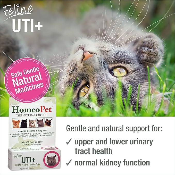 HomeoPet Feline UTI Plus, Safe and Natural Urinary Tract Supplement for Cats, Feline Urinary Tract Support, 15 Milliliters