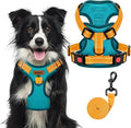 MIDOG No-Pull Dog Harness | Adjustable & Reflective Pet Harness Leash Set for Small Medium Large Dogs Walking, Training| No Choke, Front Clip, Soft Padded Vest with Easy Control Handle - Blue, XL