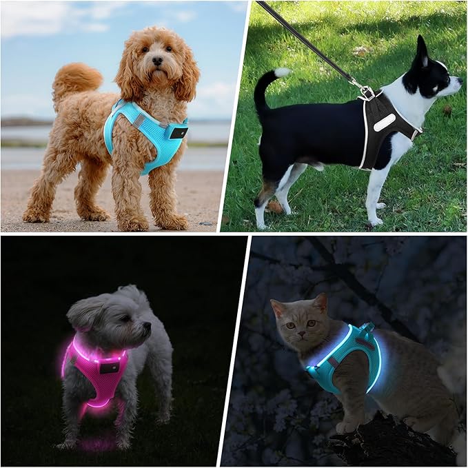 PceoTllar Light Up Dog Harness, LED No Pull Reflective Dog Harness, Flashing Lighted for Night Walking - Small/Medium, (Blue XS)