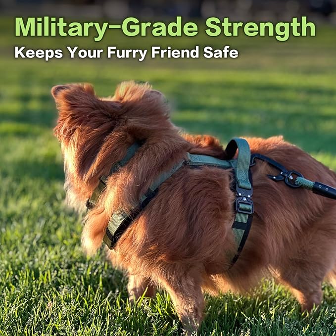 CLEPAWS Dog Harness for Large Dogs, No Pull Dog Harness Easy Walk with Metal Hardware, Ergonomic Y-Shaped Design, Soft Padding, Padded Handle, Durable High-Tensile Nylon (Evergreen, L)