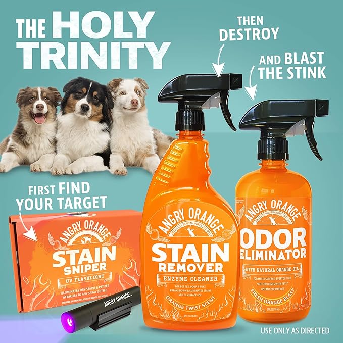 ANGRY ORANGE Pet Stain Remover Kit for Dog Urine - Enzyme Cleaner - Citrus - 32 oz + UV Flashlight