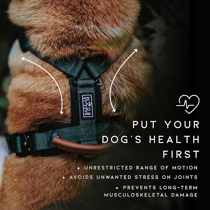 MADE TO ROAM Premium Explorer Harness - Y-Shaped Dog Harness with Adjustable Durable Nylon, Soft Padding, Metal Buckles and Leather Handle for Small, Medium, Large Dogs (Washington Rain, Size 5)