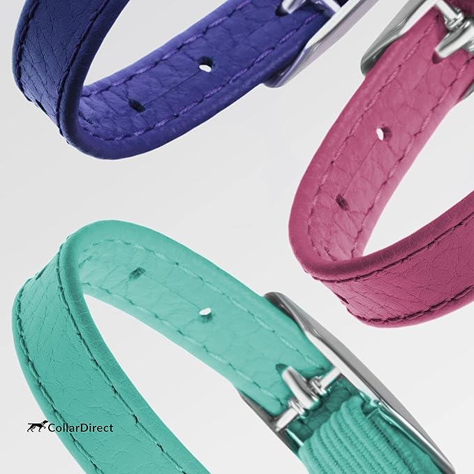 CollarDirect Leather Cat Collar, Kitten Collar with Removable Bell Black Blue Red Orange Lime Green (6-7 Inch, Purple)