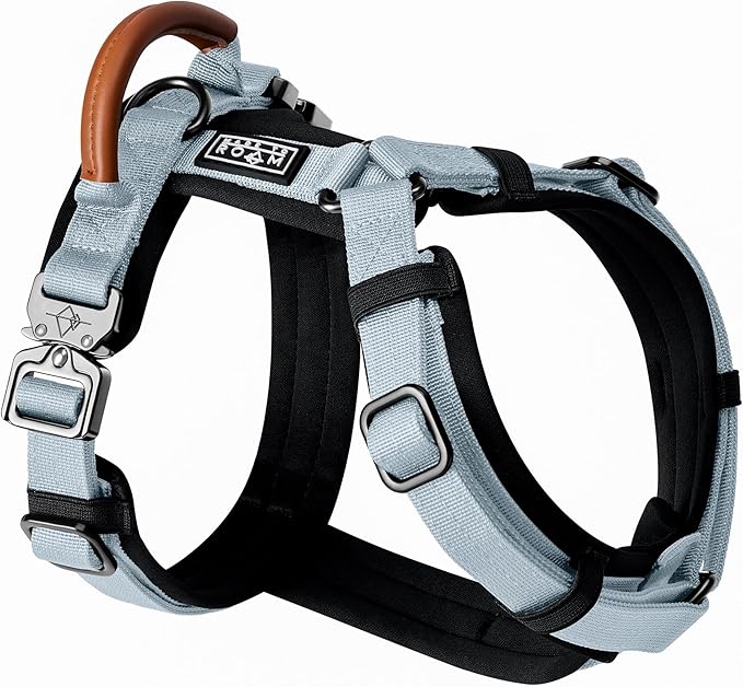 MADE TO ROAM Premium Explorer Harness - Y-Shaped Dog Harness with Adjustable Durable Nylon, Soft Padding, Metal Buckles and Leather Handle for Small, Medium, Large Dogs (Alaska Daybreak, Size 6)